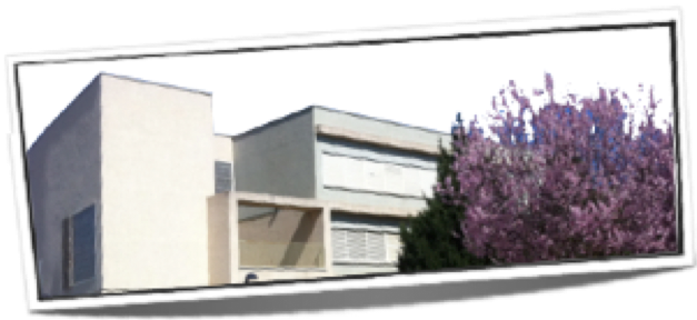 LOGO-PRIMAVERA2011