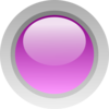 purpleb